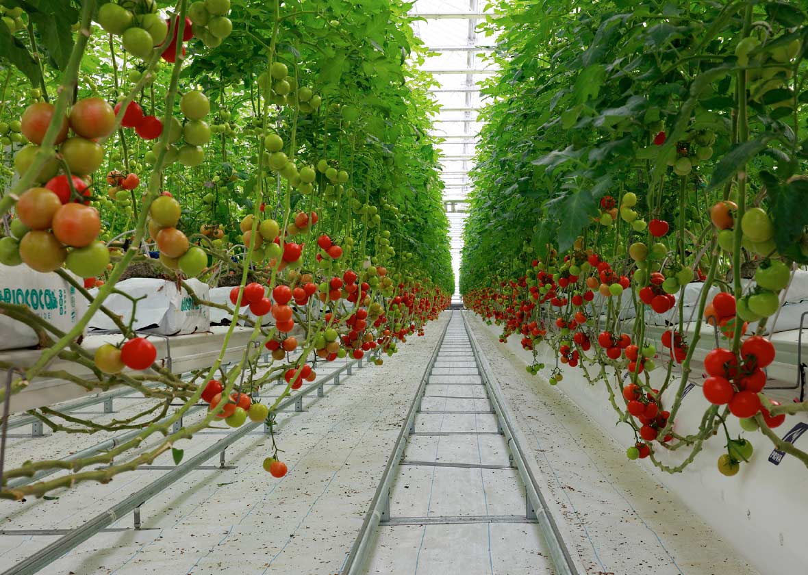 植物工場建設
